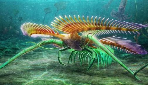 Quái vật “xuyên không” 450 triệu năm bằng cách vô lý nhất thế giới