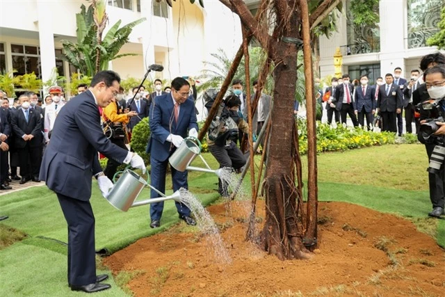 Thủ tướng Phạm Minh Chính đón, hội đàm với Thủ tướng Nhật Bản Kishida Fumio - Ảnh 6.