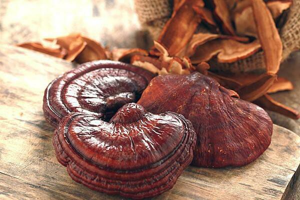 Lợi ích sức khỏe từ việc sử dụng nấm linh chi