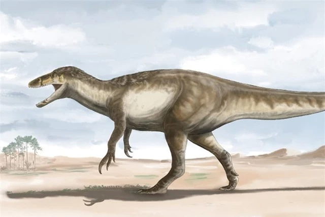 Không phải khủng long bạo chúa, loài khủng long này còn to lớn hơn, nguy hiểm hơn rất nhiều lần - Ảnh 2.
