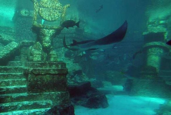 Khám phá "Atlantis Phương Đông": Thành phố cổ nằm sâu dưới lòng hồ, có niên đại 1300 năm và kiến trúc kì vĩ khiến nhiều người phải nổi da gà