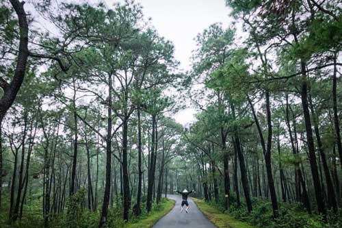 Mấy ai biết ở lòng cố đô Huế có một góc ‘Đà Lạt thu nhỏ’ chụp ảnh chill hết nấc