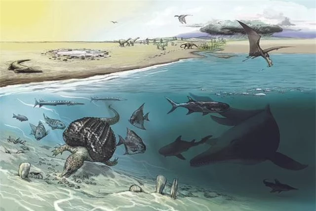 Ly kỳ quái vật biển dài 20m chết trên núi cao khiến nhóm khảo cổ choáng váng ảnh 1