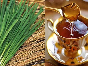 Trị cảm cúm cho trẻ bằng hẹ hấp mật ong