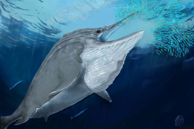 Sau 205 triệu năm, "rồng biển" 54 m hiện hình trên đỉnh núi hơn 2.700 m