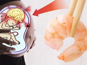 Bà bầu ăn tôm rất tốt nhưng cần phải nhớ điều này