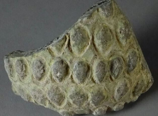 Các nhà khảo cổ vừa tìm thấy một quả lựu đạn hơn 1.000 năm tuổi