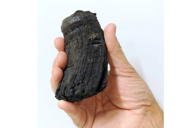 Phát hiện răng khổng lồ của loài bò sát biển cổ đại ở dãy núi Alps