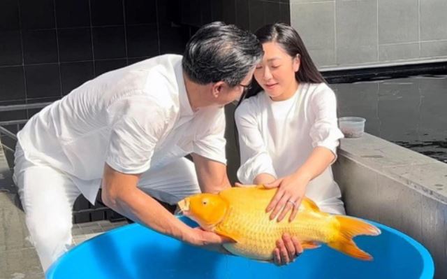 Mối nhân duyên "định mệnh" của Hà Thanh Xuân và đại gia cá Koi