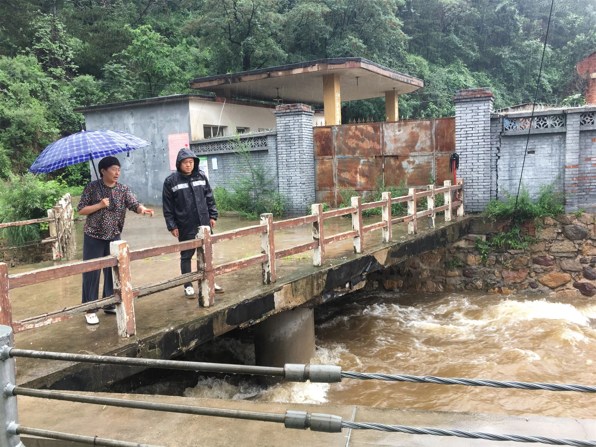 Rắn lũ lượt kéo đến khiến dân làng hoảng sợ, lý do được tiết lộ khiến ai nấy đều kinh ngạc - Ảnh 4.