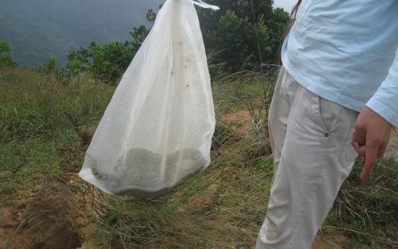 Rắn lũ lượt kéo đến khiến dân làng hoảng sợ, lý do được tiết lộ khiến ai nấy đều kinh ngạc