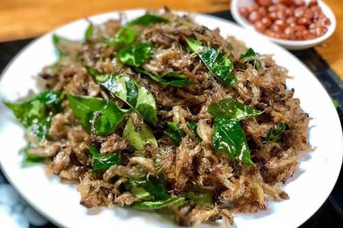 Con vật vờ ở sông Hồng: Sống vài giờ nhưng lưu danh đặc sản, giá bán cả triệu/kg