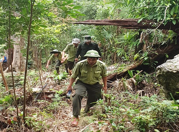 Lực lượng kiểm lâm kiểm tra, truy quét, ngăn chặn tái diễn khai thác vàng trái phép tại các Tiểu khu 27, 29 xã Hòa Bắc