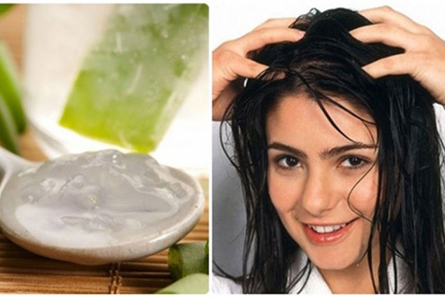 Cách làm dầu gội an toàn với nha đam