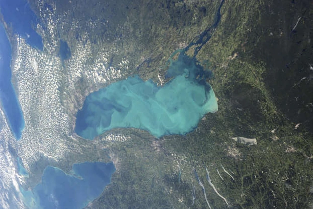 Vào cuối hè, sinh vật phù du phát triển khắp Hồ Ontario. Tảo lam có thể tập trung với số lượng lớn và làm đổi màu nước ở quy mô chúng ta có thể quan sát từ quỹ đạo. Bức ảnh này được chụp từ Trạm Vũ trụ Quốc tế.