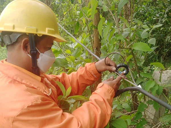 Nhân viên kỹ thuật Điện lực Hòa Vang hỗ trợ BQL rừng đặc dụng Bà Nà - Núi Chúa dây sau công tơ của khách hàng này chạm vào cây cối khiến sản lượng điện tăng cao bất thường
