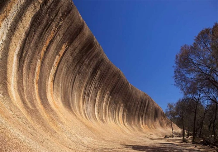 Vách đá ngoạn mục trông như cơn sóng khổng lồ, có niên đại 60 triệu năm 1