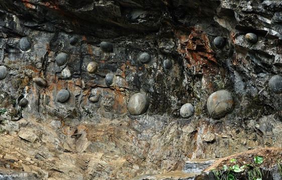 Vách đá thần kỳ cứ 30 năm lại “đẻ ra một lứa trứng": Cả trăm quả tròn đều như đúc, người nào sở hữu thì dễ phát tài