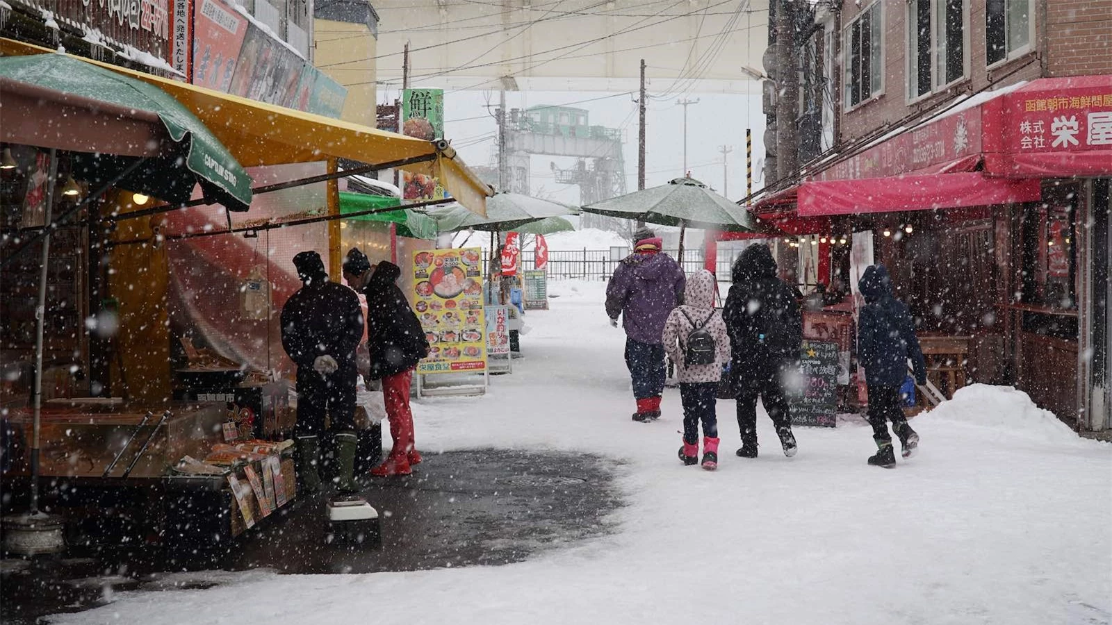 Thì ra đây là &quot;xứ sở mùa đông&quot; Hokkaido, nơi tuyết trắng gặp biển xanh: Chỉ nhìn ảnh đã thấy đẹp tới choáng ngợp - Ảnh 6.