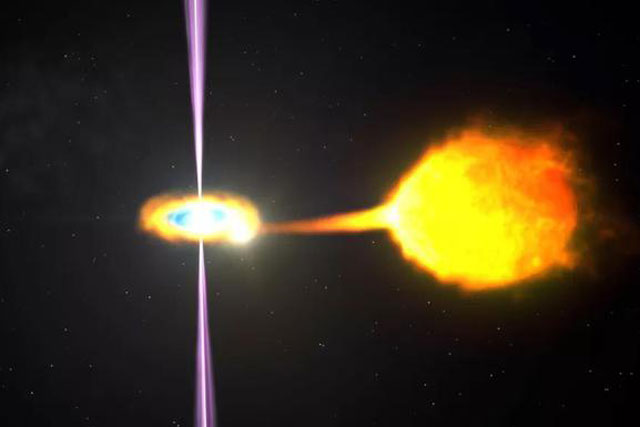 Phát hiện "góa phụ đen" nuốt bạn tình gần Trái Đất nhất