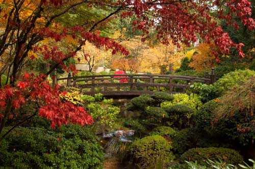 Những khu vườn đáng kinh ngạc trên thế giới