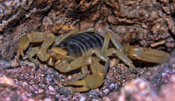 M&#x1ED7;i mililit n&#x1ECD;c b&#x1ECD; c&#x1EA1;p b&#xE1;n &#x111;&#x1B0;&#x1EE3;c 230 tri&#x1EC7;u VN&#x110;, v&#xE0; &#x111;&#xE2;y l&#xE0; l&#xFD; do t&#x1EA1;i sao n&#xF3; &#x111;&#xE1;ng gi&#xE1;