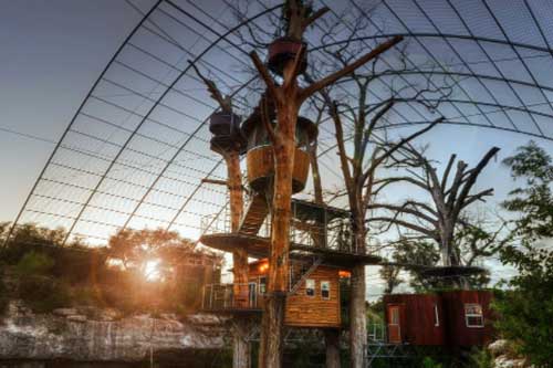 Những ngôi nhà trên cây độc đáo khắp thế giới