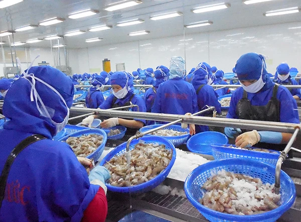 Công ty thủy sản và thương mại Thuận Phước đang hoạt động trong KCN Dịch vụ thủy sản Đà Nẵng