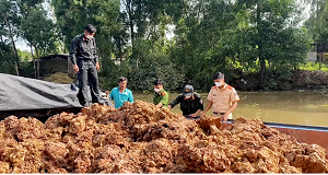 Bắt quả tang 12 phương tiện thuỷ vận chuyển khoảng 733m3 đất trái phép