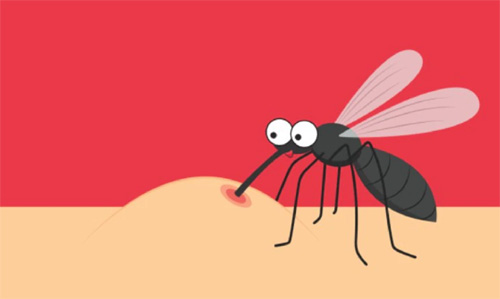 Nên và không nên ăn gì để nhanh hồi phục khi bị sốt xuất huyết?