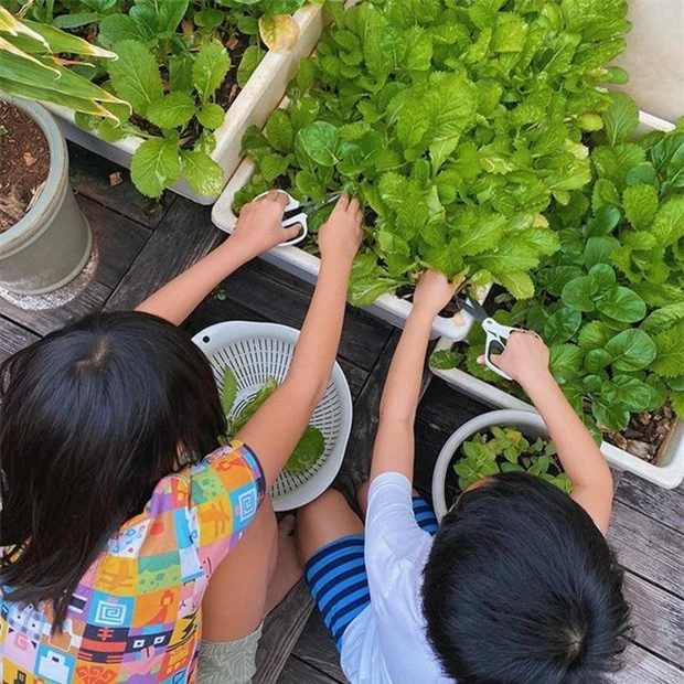 Khi phu nhân hào môn chăm con: Hà Tăng thức lúc 5h sáng, mẹ bỉm Phạm Hương - Lan Khuê cân 1 việc siêu giỏi - Ảnh 6.