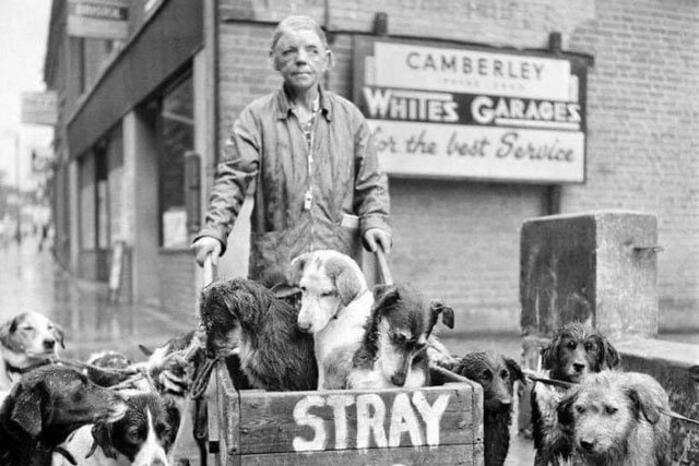 Ngược thời gian trở về quá khứ qua những bức ảnh hiếm trong lịch sử