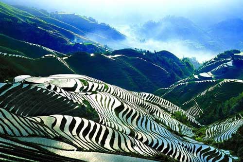 Điểm danh ruộng bậc thang ở châu Á “hút hồn” khách du lịch