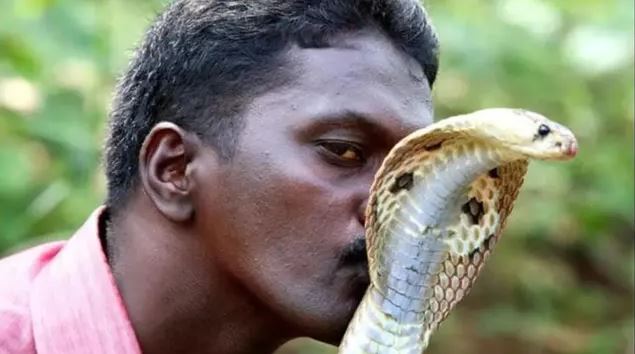 Tại sao con người không tiến hóa để có thể sở hữu nọc độc như loài rắn?