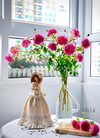 Tử vi ngày 16/5/2022 của 12 cung hoàng đạo