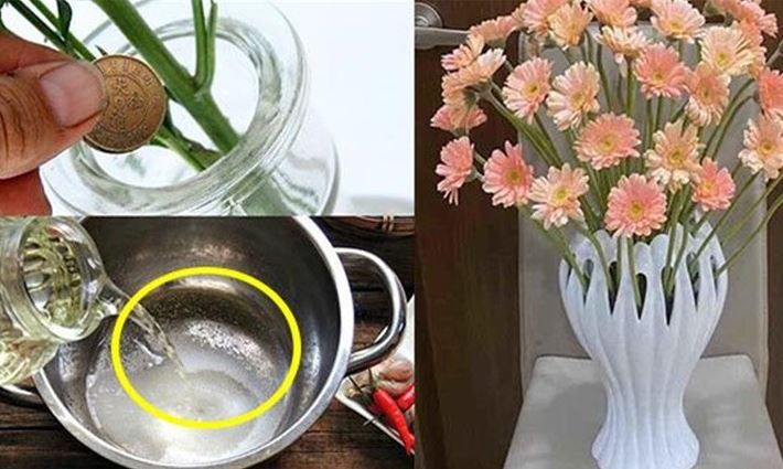 Cắm hoa đừng vội đổ nước lã vào bình, thêm thứ này là hoa để cả tuần vẫn tươi rói