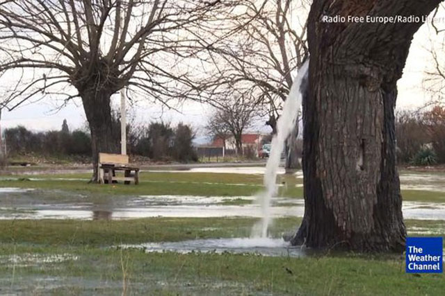 Bí ẩn không lời giải về cây dâu tằm 100 tuổi có thể tuôn nước như suối