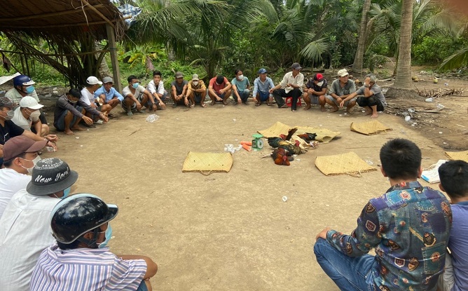 Bến Tre: Triệt phá trường gà, bắt giữ 33 con bạc cùng 338 triệu đồng