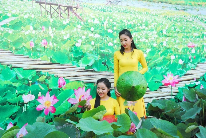 Lễ hội Sen nhằm tôn vinh hoa Sen, phát huy giá trị văn hóa - kinh tế cho các sản  phẩm chế biến từ cây Sen Đồng Tháp
