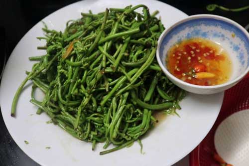 Đọt choại Hậu Giang: Món rau có hình dáng độc lạ, đặc sản bình dị vùng sông nước