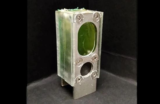 Chiếc máy tính này đã chạy trong 6 tháng và được cung cấp năng lượng hoàn toàn bằng vi khuẩn lam