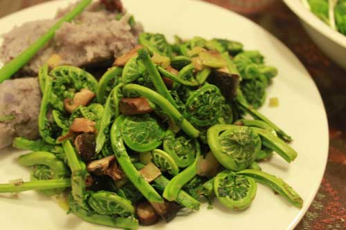 Từ đọt dương xỉ, người Hàn chế biến ra nhiều món ăn ngon và hấp dẫn bất ngờ