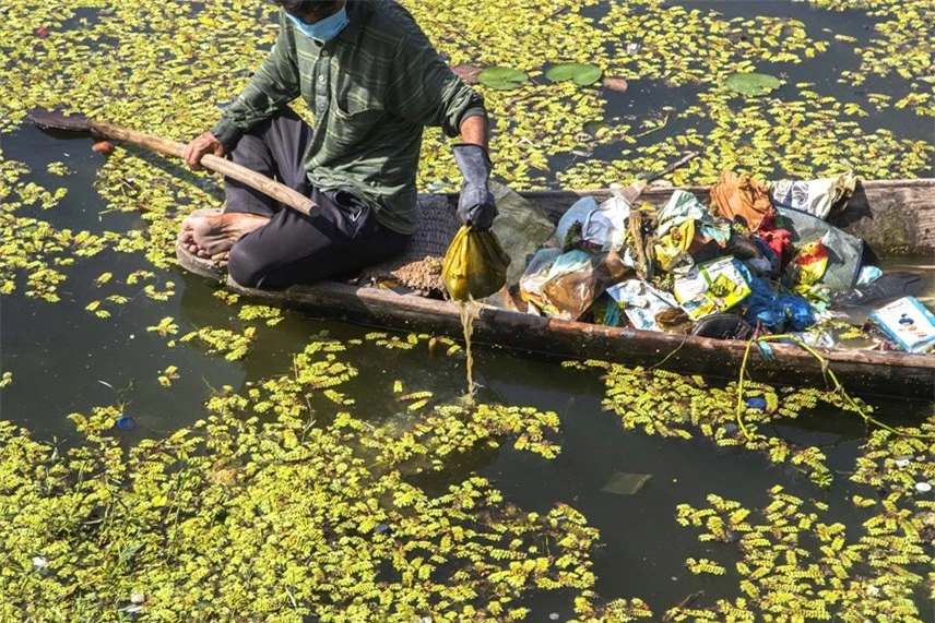 Một người chèo thuyền dọn rác ở Hồ Dal ở Srinagar, vùng Kashmir, Ấn Độ. Ảnh: AP.