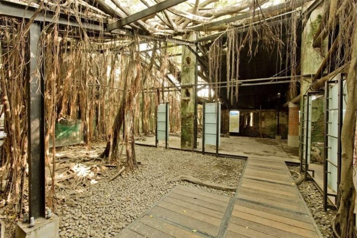 Ngôi nhà cây 200 tuổi - ‘công trình’ ma mị của thiên nhiên thu hút du khách - 11