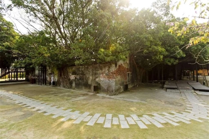 Ngôi nhà cây 200 tuổi - ‘công trình’ ma mị của thiên nhiên thu hút du khách - 13