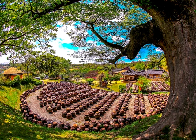 Nhà cổ Myeongjae, Chungcheongnam-do