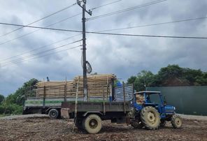 Quảng Bình: Trạm cân không phép ngang nhiên hoạt động dọc quốc lộ 12A