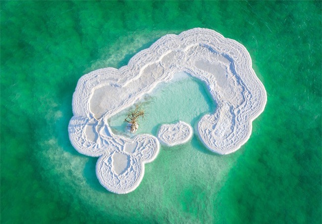 Ở giữa Biển Chết có một hòn đảo trắng tinh như tuyết, chứa đựng một điều diệu kỳ khiến cả thế giới ngỡ ngàng - Ảnh 4.