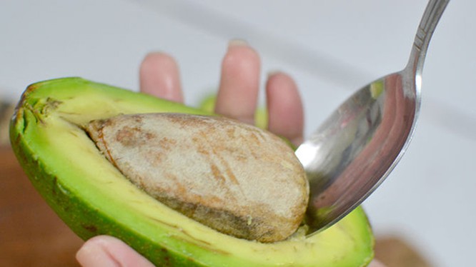 Hạt bơ - "thần dược" cho sức khỏe