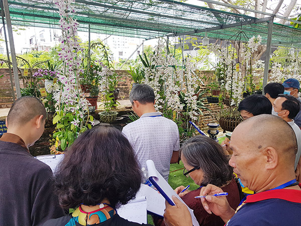 Ban giám khảo chấm chọn các tác phẩm hoa lan tham gia trưng bày và dự thi